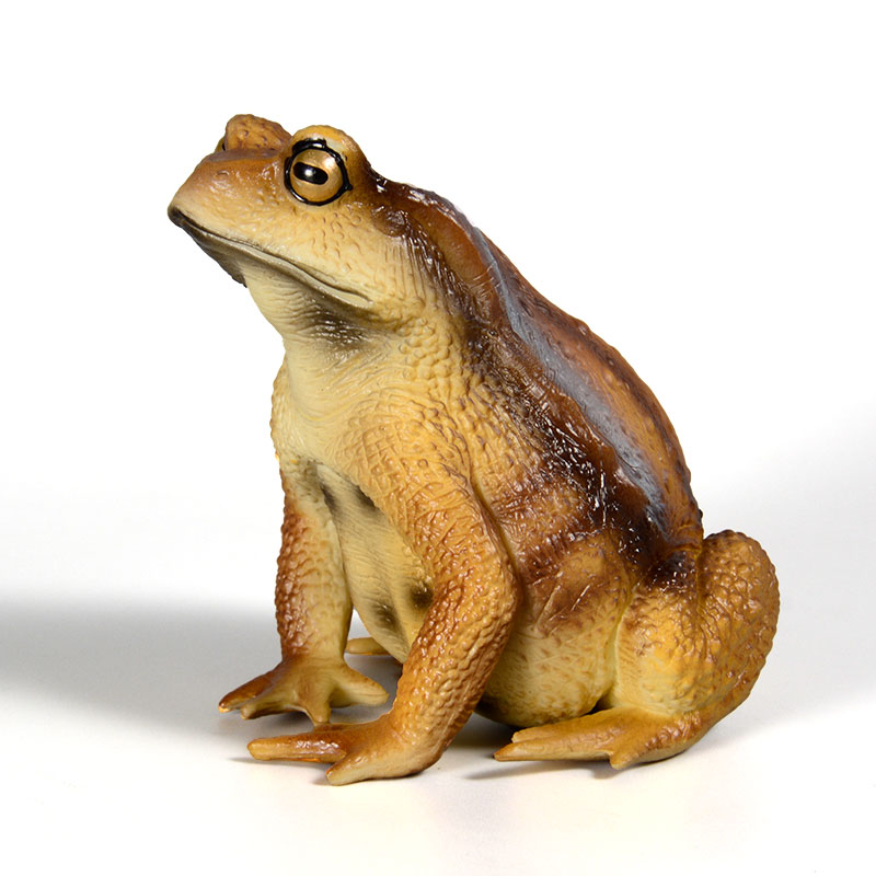 Figura de Rana Anfibia, Modelo - Kids First Education reseña y precio