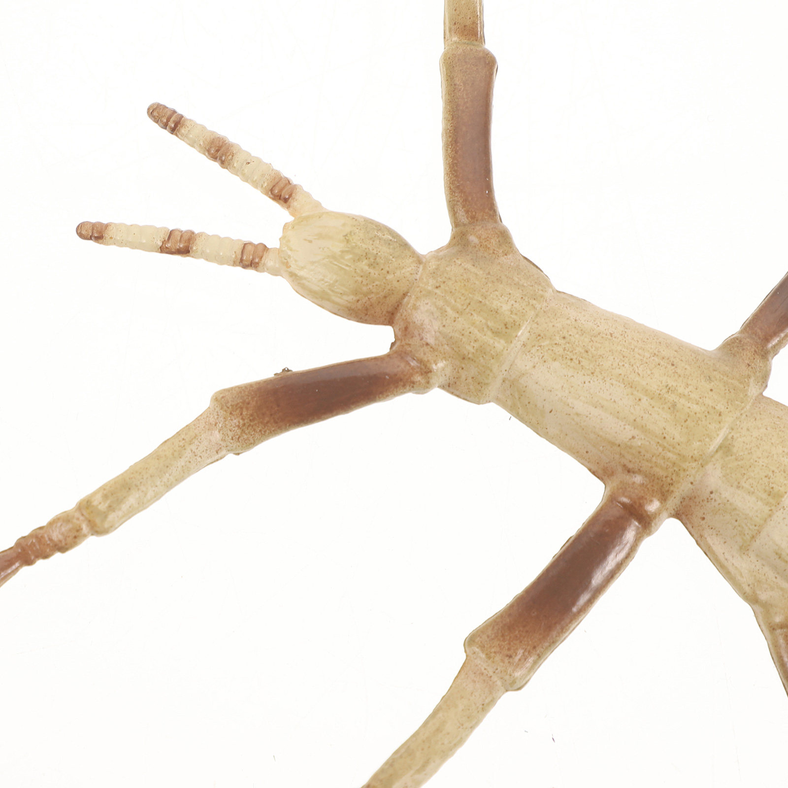 Insecto de plástico resistente - Kids Education Activities reseña y precio