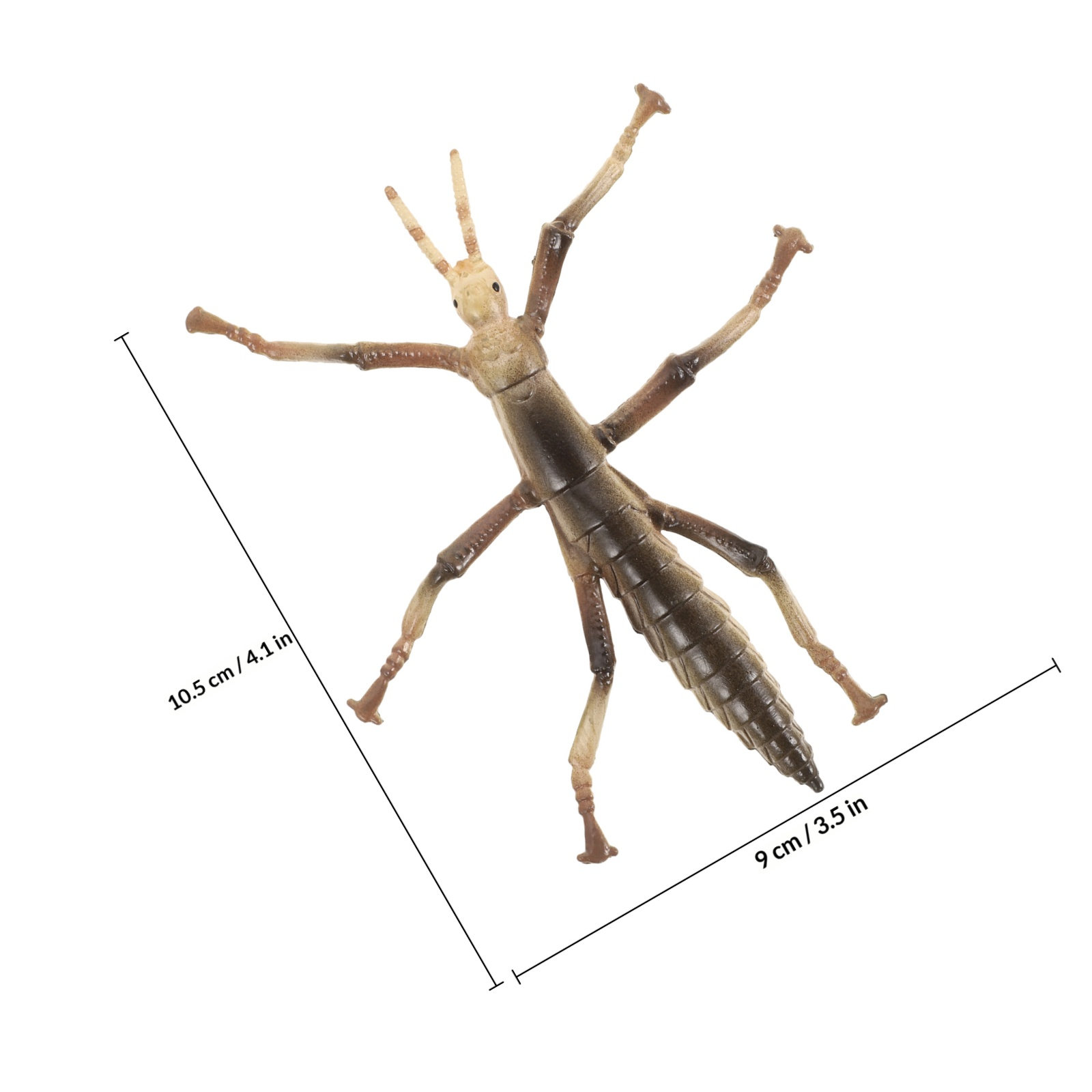 Insecto de plástico resistente - Kids Education Activities reseña y precio