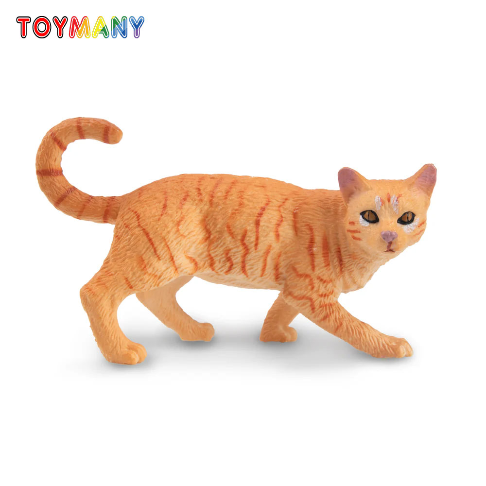 Toymany simulación estriando g - Kids First Education reseña y precio
